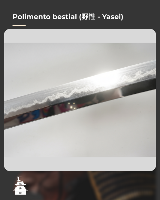 Polimento, uma característica da Alma da Lâmina